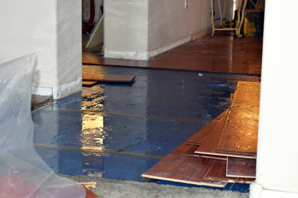 Professional Basement Flood Cleanup technician working in Onondaga, MI